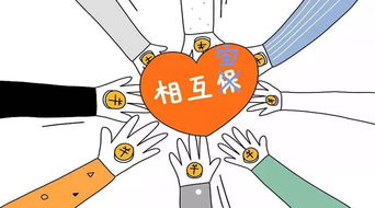 追踪相互保拒赔被诉第一案 支付宝提管辖权异议，聚焦网络技术服务争议